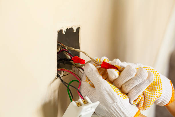 Best Electrical Panel Upgrades  in Oran, MO